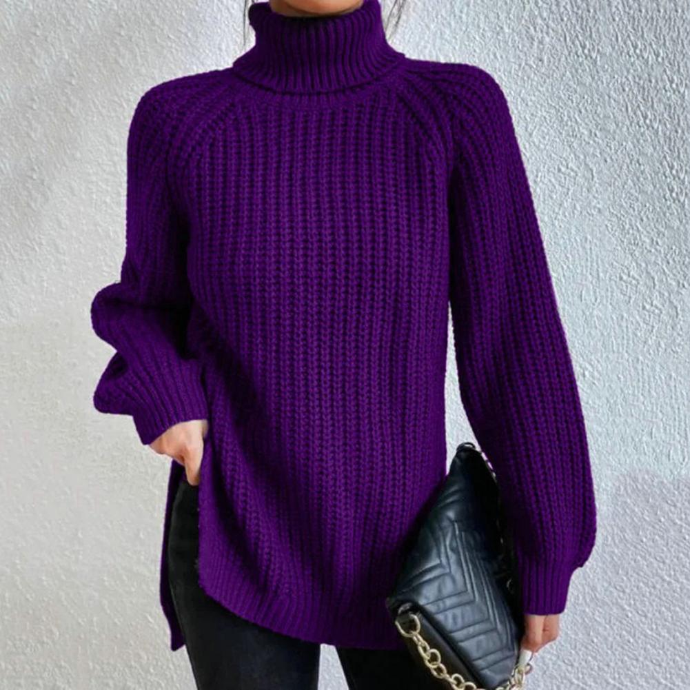 Women's Fall/Winter Turtleneck Sweater